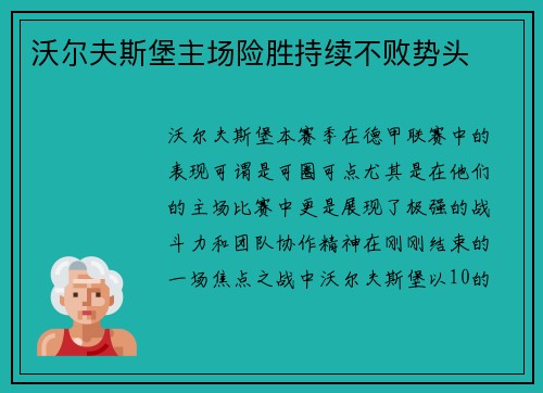 沃尔夫斯堡主场险胜持续不败势头